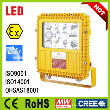 Atex 25W 40W 60W 80W Gree LED Explosion Proof Light